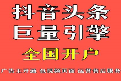 竞价广告的投放策略与效果评估——以一成功企业为例